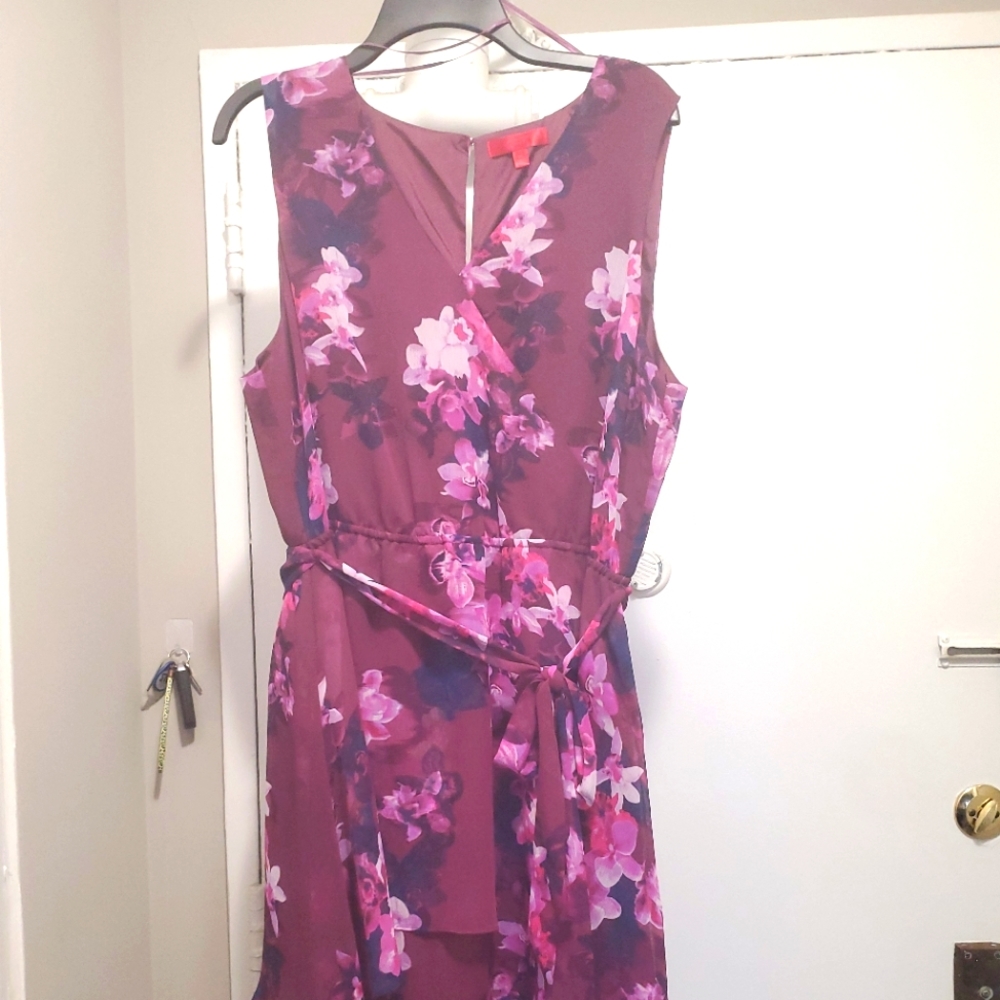 Jennifer Lopez | XL | Sleeveless A-Line/Ruffle dress | Floral Plum/Pink/Navy